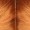 Cosplay Wig Pippi Braid Wig